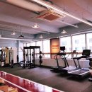 베어리핏 이미지