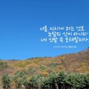 알리캘리