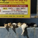 화성 차박 / 얼큰하게 해장 순두부짬뽕 [진짬뽕]