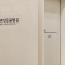 김앤정동물병원 이미지