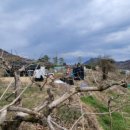 황금터농장 이미지