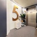 박스도로시 이미지