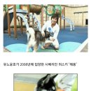 강아지를 12년째 훈련소에서 데려오지 않는 유노윤호 이미지