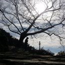 동창세탁소 이미지