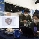 경상북도문화재연구원박물관 이미지