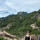 소노펠리체 델피노 이미지