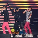 대성관광㈜ 이미지