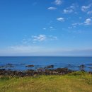 신전목장 이미지