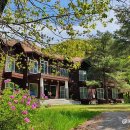 청태산 자연속으로 이미지