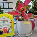 우리동네해장국제주수눌음오라점 이미지