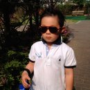 들꽃이야기 이미지