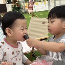 아산팜 | 아산 딸기 따기 체험 도치팜 곡교천 은행나무길 아이랑
