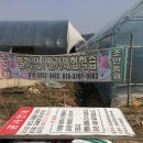 조안 농장 이미지