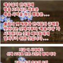 새하늘나라