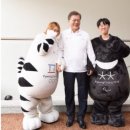 호랑이사진관 이미지