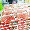 베리베리팜 이미지