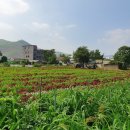 옥계면사무소 이미지