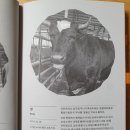 달뜨는 마을 보금자리 이미지