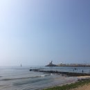 이호그린 이미지