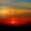 산따라물따라 - 횡성군 병지방서1길 46 | 산따라물따라