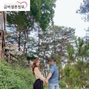 한베결혼정보 이미지