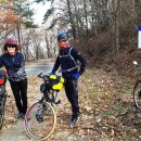 팽나무 펜션 이미지