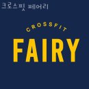안양 석수동 크로스핏 크로스핏 페어리 업체 정보 후기