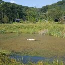 우산공원 주차장 이미지