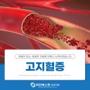 회천베스트내과의원 이미지
