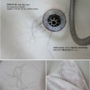 한올사 네이버블로그