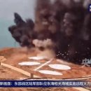 용안가스 Daum카페