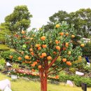 제주 유리의 성 이미지