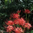 중앙공원(상) 이미지