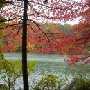 오크랜드 이미지