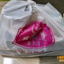 최고당돈가스대구 티스토리