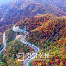 한계령의아침 이미지