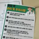 진생약국 | 손가락 봉합 후 회복 기록