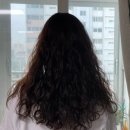 [광주 상무지구 미용실] 더온다 헤어 (뿌리염색, 컷트 후기)