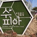 호 피 아