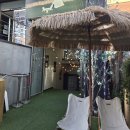 캠핑고양이 - 강남구 선릉로 420 | 구월동 캠핑감성카페 캠피 다녀온후기(고양이푸딩)