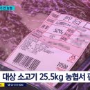 충청북도동물위생시험소 | 판정을 받은 '폐기 대상' 소고기 유통…충북동물위생시험소·축산물품질평가원 뒤늦게 인지→농협, 유통...