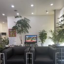 타이어프로 양산점 | 타이어프로 금정점 휠 얼라인먼트 그리고 소토한우에서 소고기