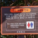 성읍리-25 | 제주도의 알프스 영주산 둘레길 트래킹코스 서귀포 오름 천국의계단 포토존 추천 주차장 소요시간 정보