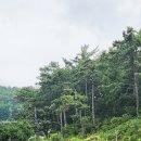 남해스포츠파크 인조구장 축구장 이미지