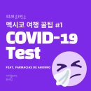 태권도 branch | 모르면 손해인 멕시코 생활 꿀팁 | 멕시코 코로나 항원 검사 방법 안내 및 후기