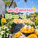 파주임진강꿀벌 | [배다골베이커리] 꽃향기 가득한 정원과 동남아 뺨치는 생망고 빙수 원당카페, 일산카페