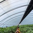 꿈바위어린이집 이미지