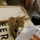 치킨홀릭 이미지