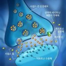 세로토닌