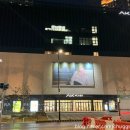 간선-24 | [W.1] 광명 아이벡스(IVEX) 당일 계약 후 취소한 솔직후기 (26년 하반기 견적 공유/장단점 비교)